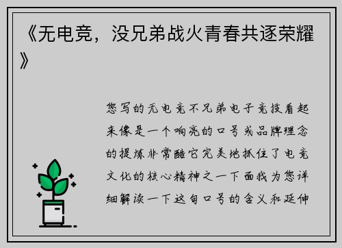 《无电竞，没兄弟战火青春共逐荣耀》